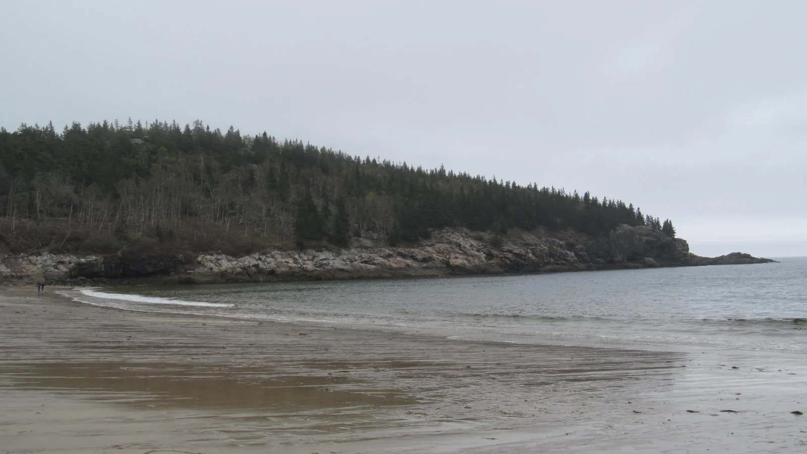 Sand Beach in Acadia National Park