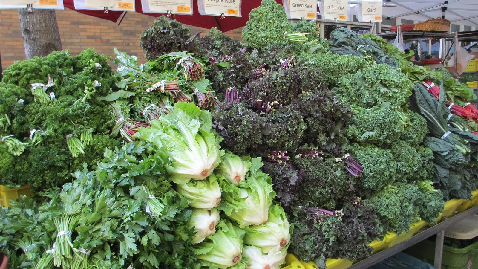 Portland Farmers' Market