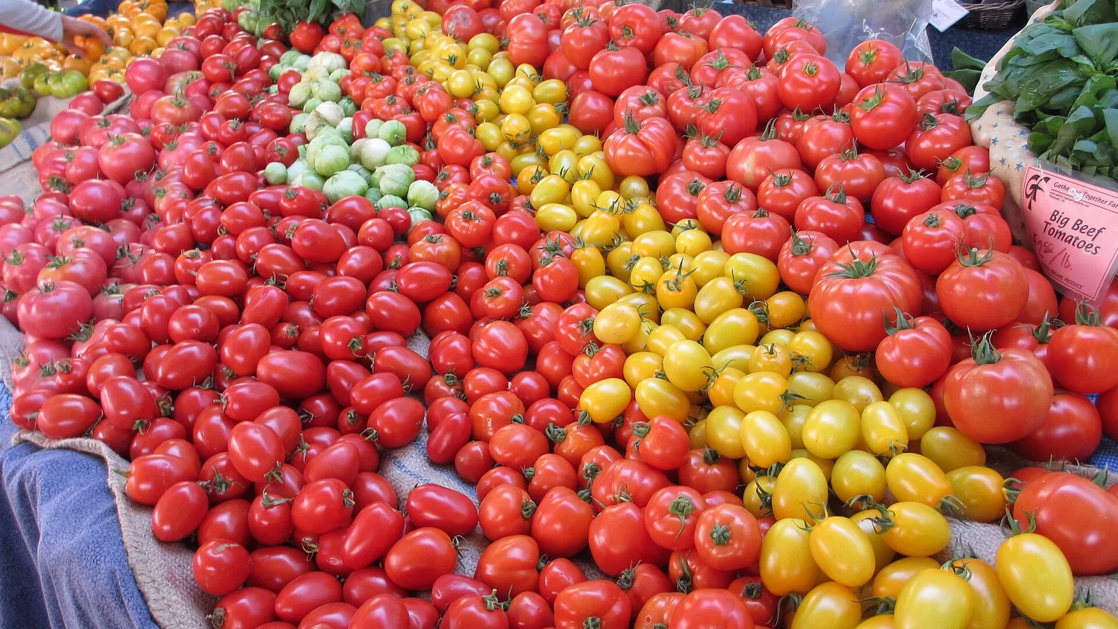 Portland Farmers' Market